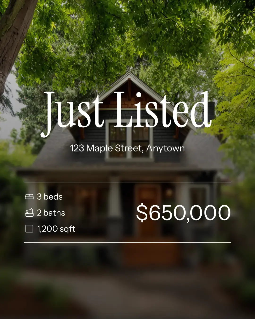 Video Themes preview 5